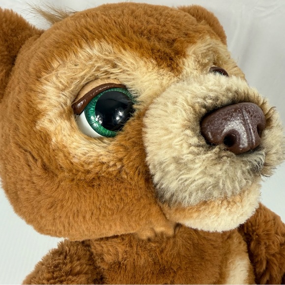 NOT AVAILABLE - Picture 6 of 14